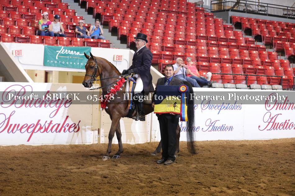 Proof 18BUCK_05478