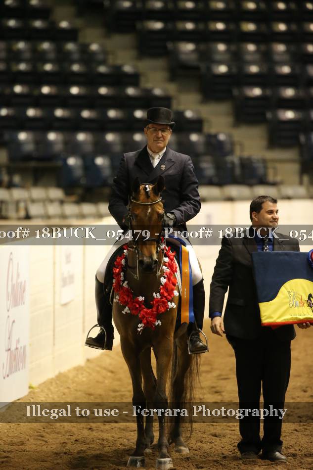 Proof 18BUCK_05479