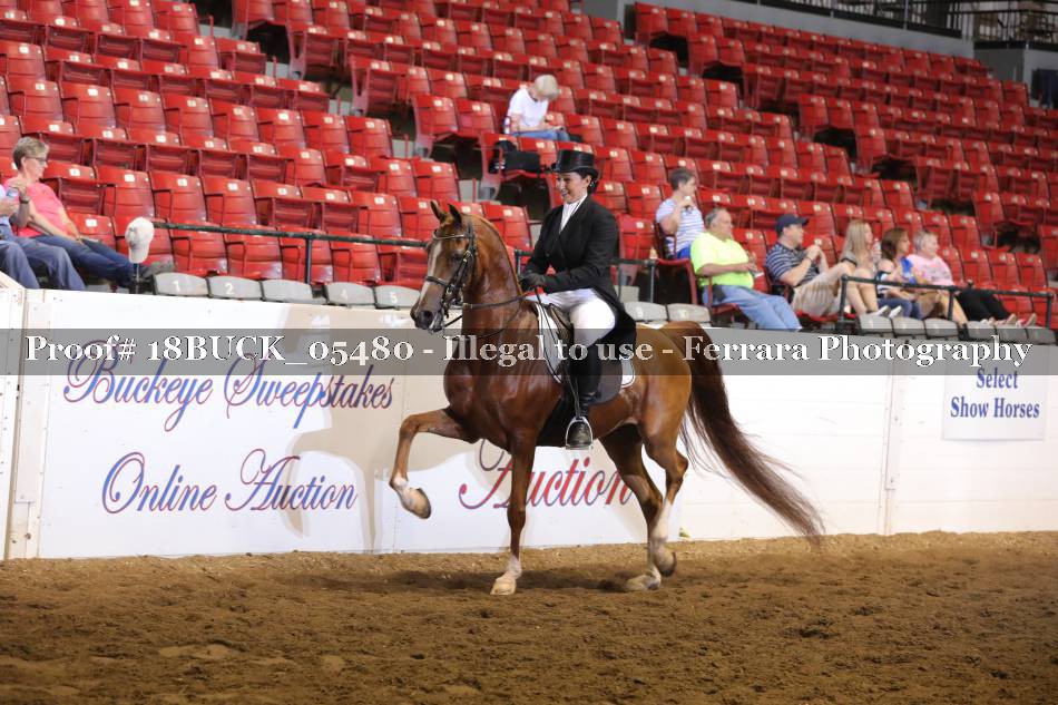 Proof 18BUCK_05480