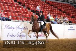 18BUCK_05480 proof