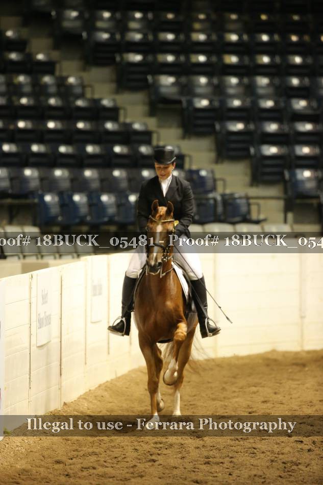 Proof 18BUCK_05481