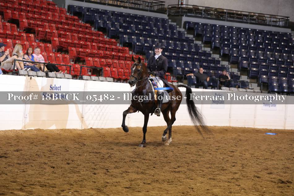 Proof 18BUCK_05482