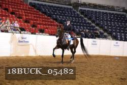 18BUCK_05482 proof