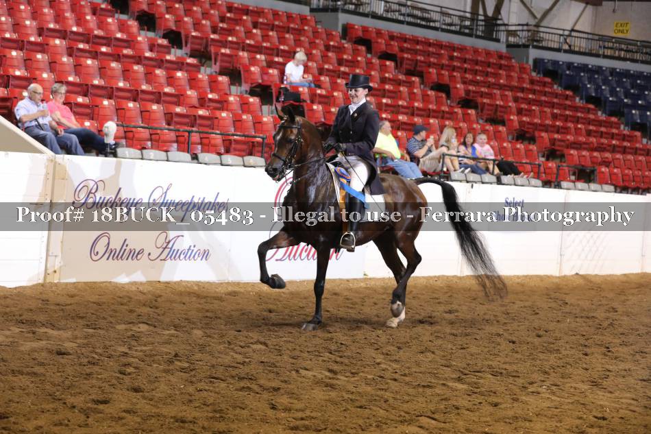 Proof 18BUCK_05483