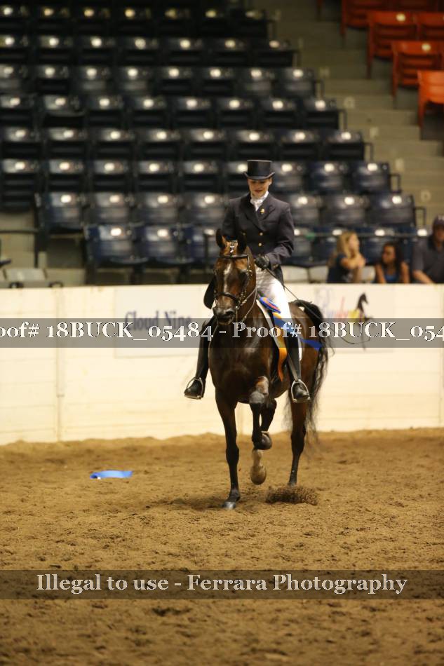 Proof 18BUCK_05484