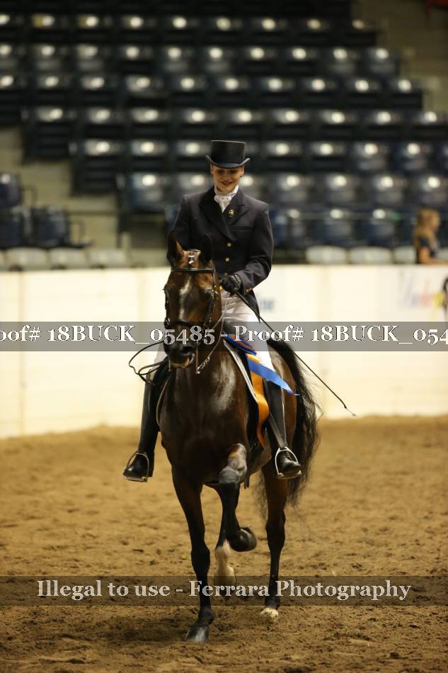Proof 18BUCK_05485