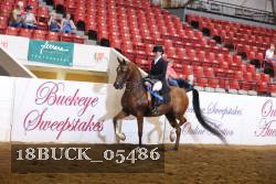 18BUCK_05486 proof