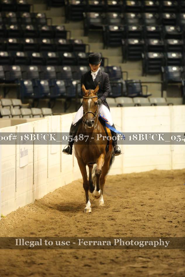 Proof 18BUCK_05487