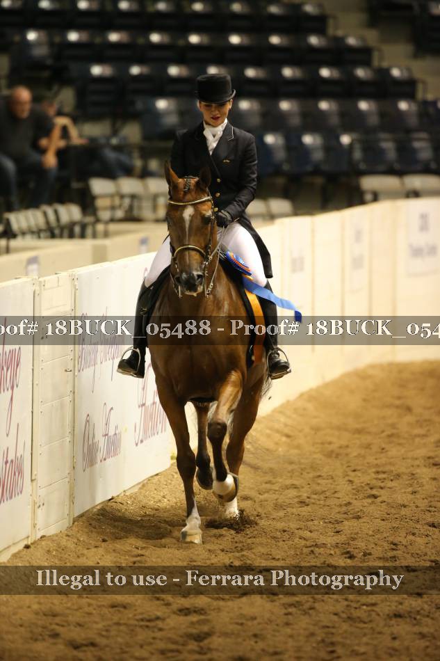 Proof 18BUCK_05488