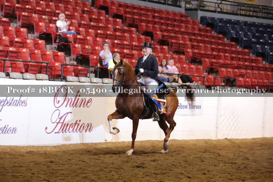 Proof 18BUCK_05490