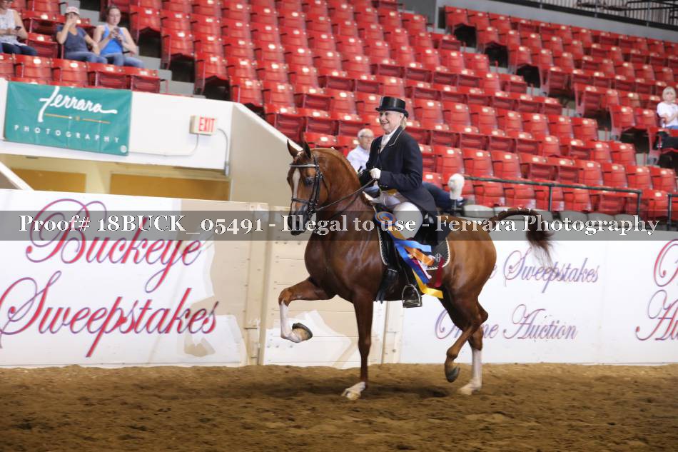 Proof 18BUCK_05491