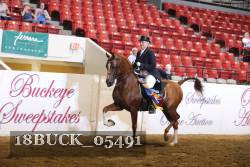 18BUCK_05491 proof