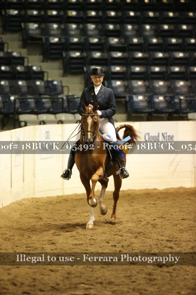 Proof 18BUCK_05492