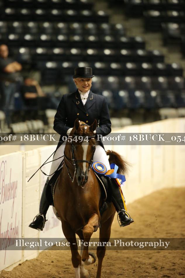 Proof 18BUCK_05494