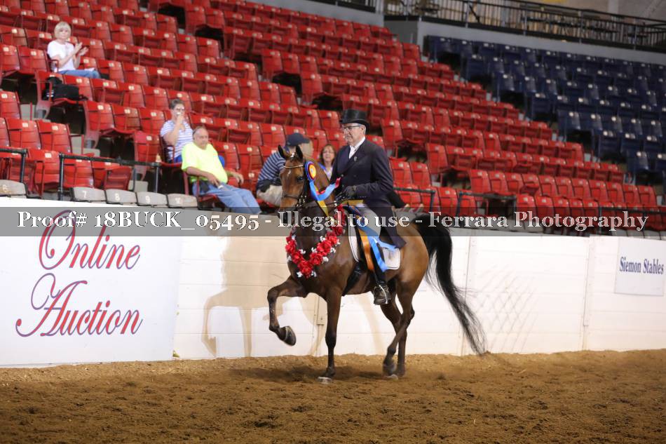 Proof 18BUCK_05495