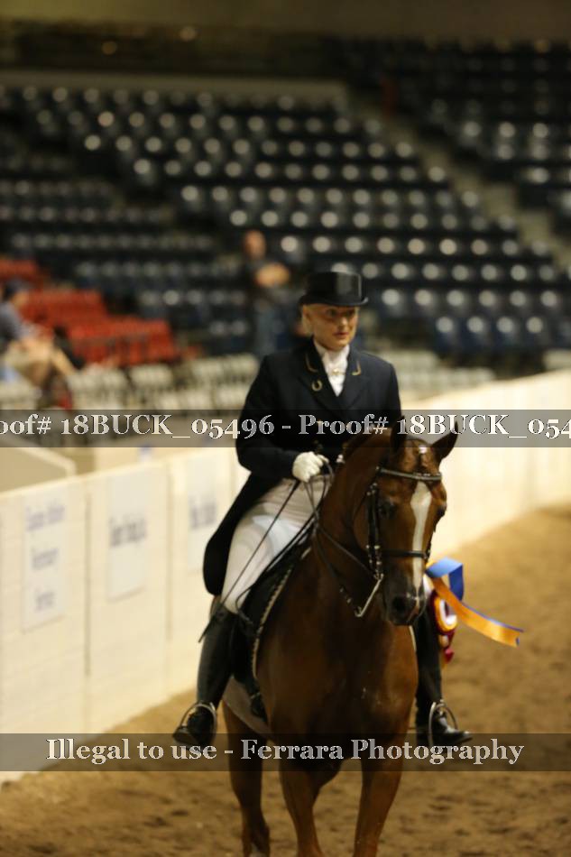 Proof 18BUCK_05496