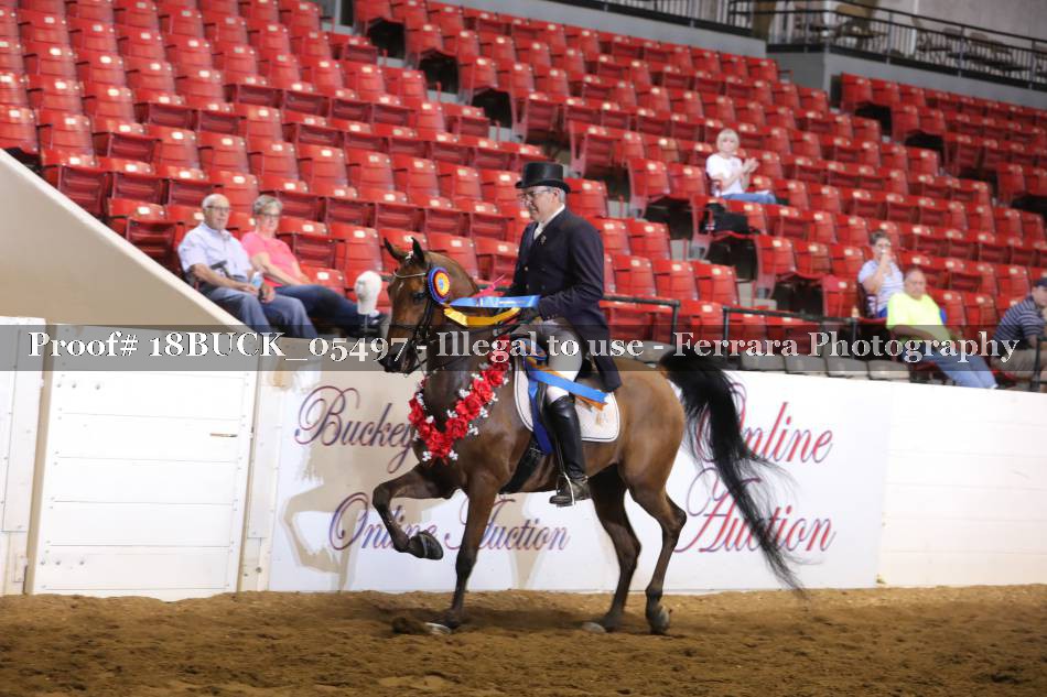 Proof 18BUCK_05497