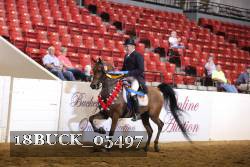 18BUCK_05497 proof