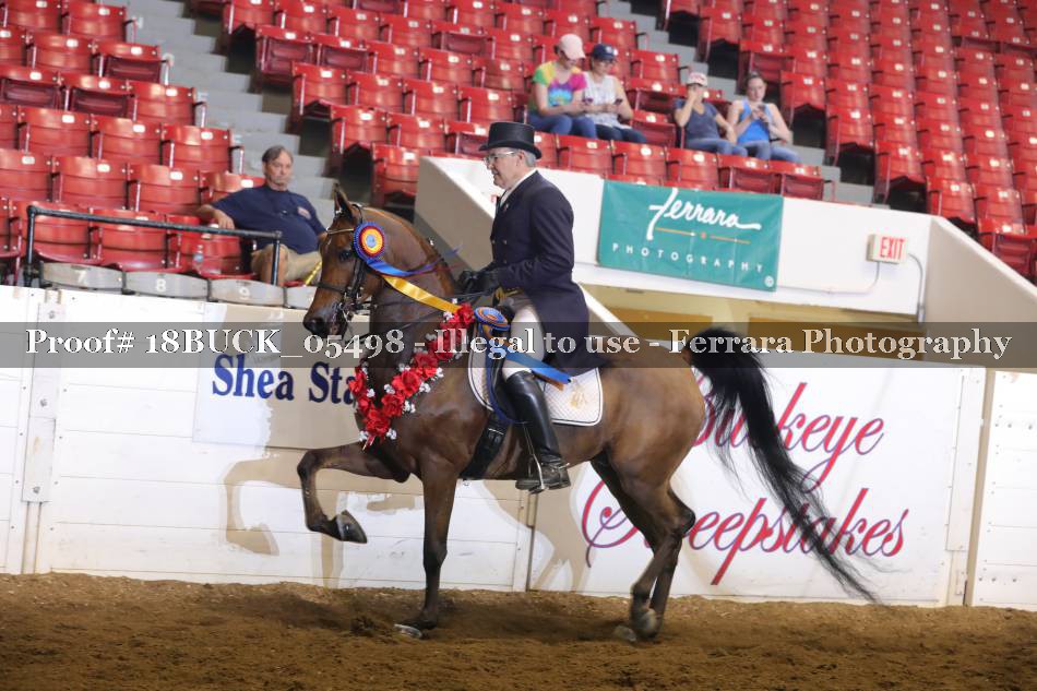Proof 18BUCK_05498