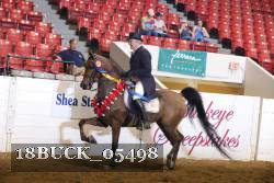 18BUCK_05498 proof