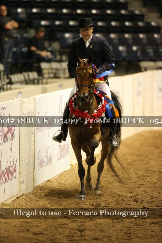 Proof 18BUCK_05499