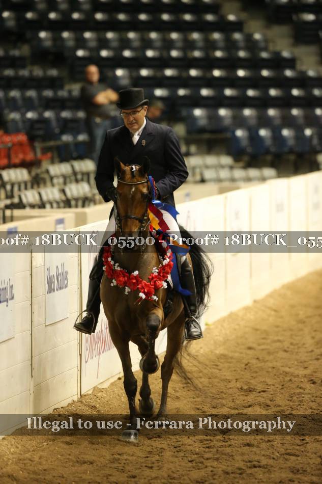 Proof 18BUCK_05500