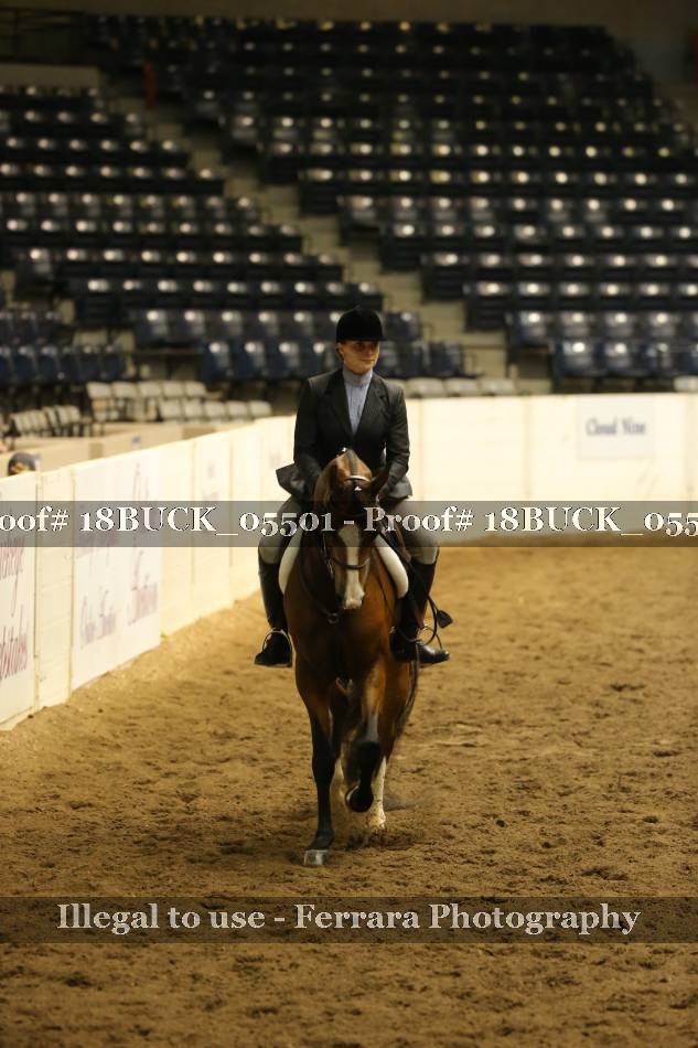 Proof 18BUCK_05501