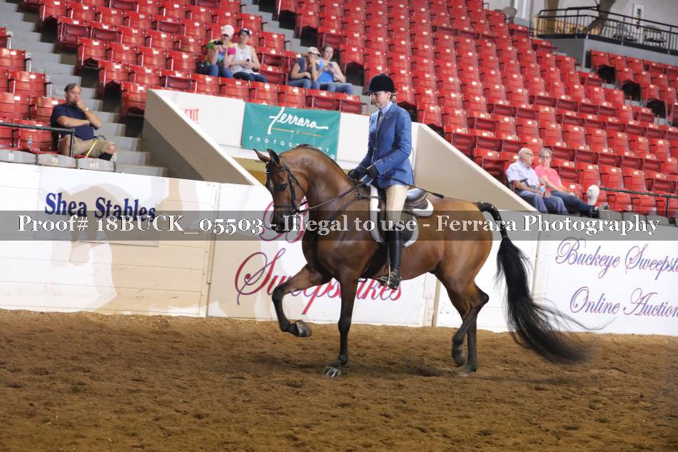 Proof 18BUCK_05503
