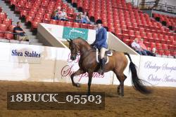 18BUCK_05503 proof