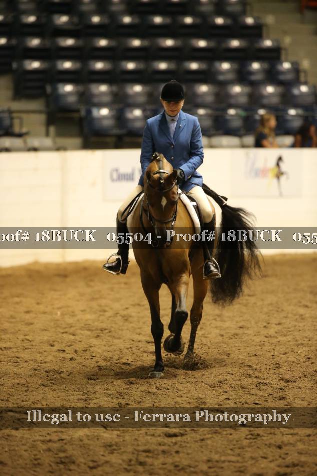 Proof 18BUCK_05504