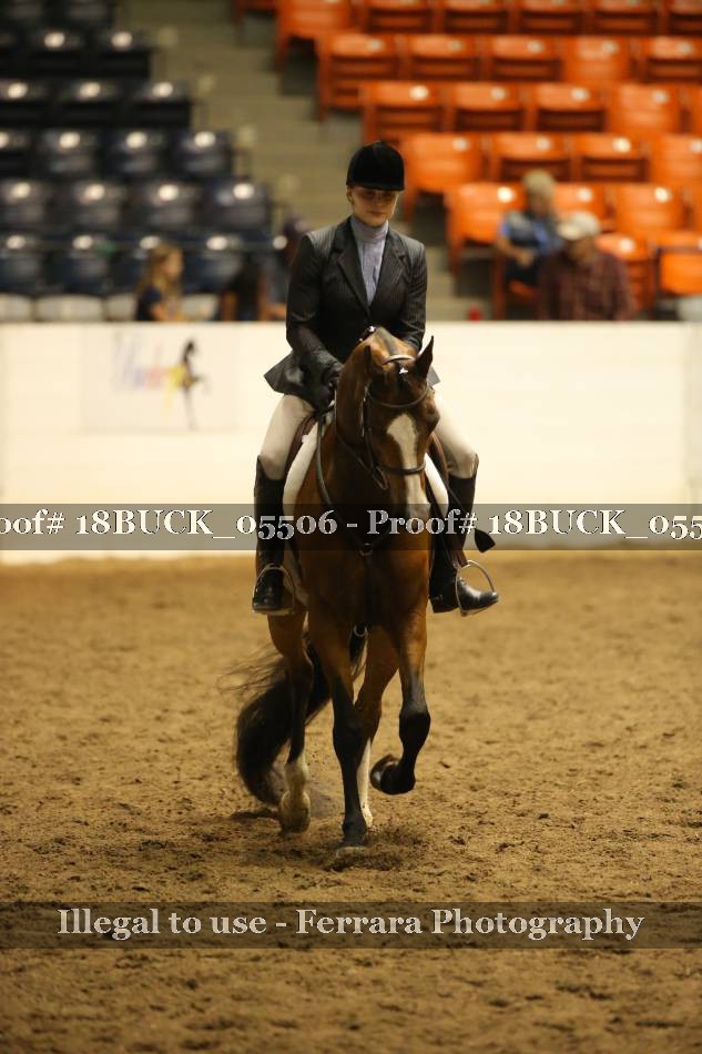 Proof 18BUCK_05506