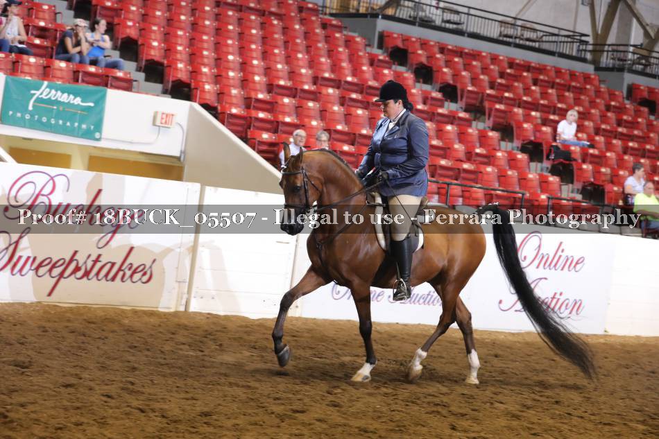 Proof 18BUCK_05507