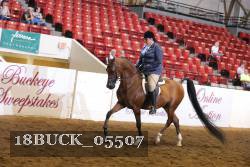18BUCK_05507 proof