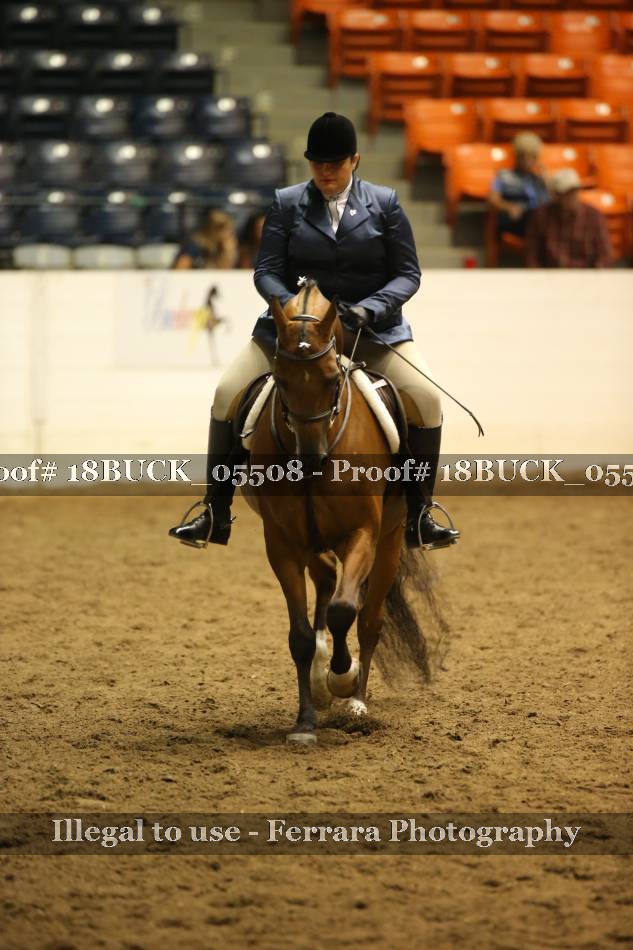 Proof 18BUCK_05508