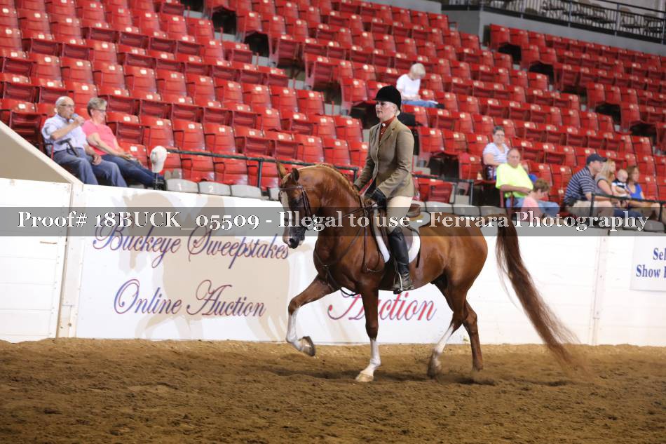 Proof 18BUCK_05509