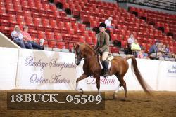 18BUCK_05509 proof