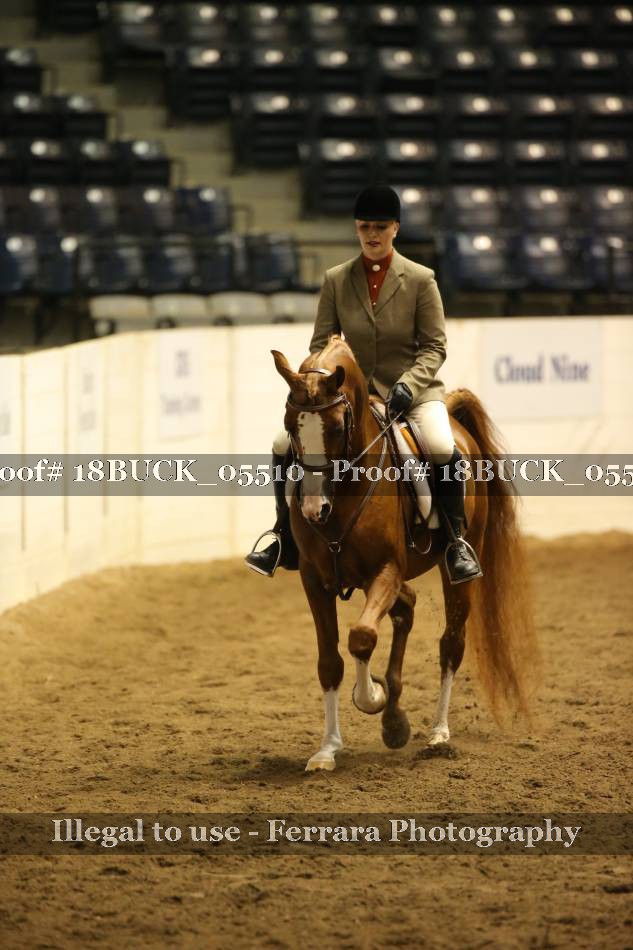 Proof 18BUCK_05510