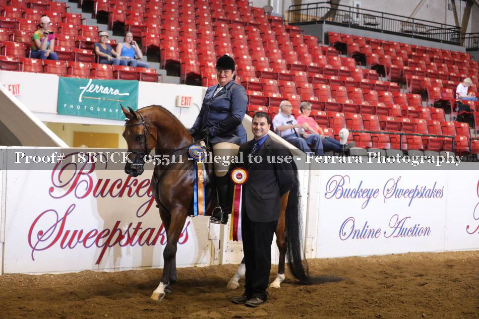 Proof 18BUCK_05511