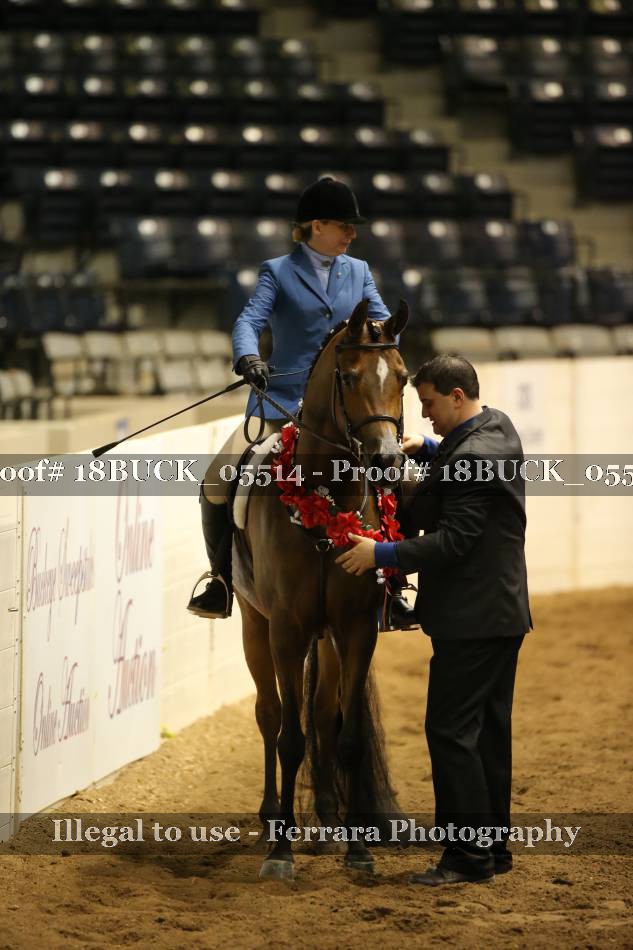 Proof 18BUCK_05514