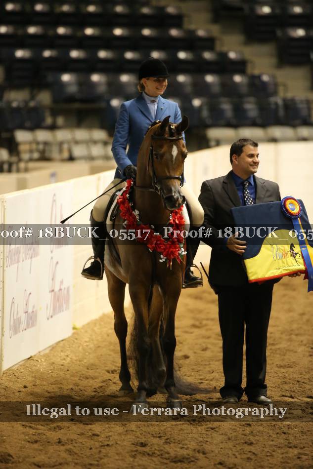 Proof 18BUCK_05517