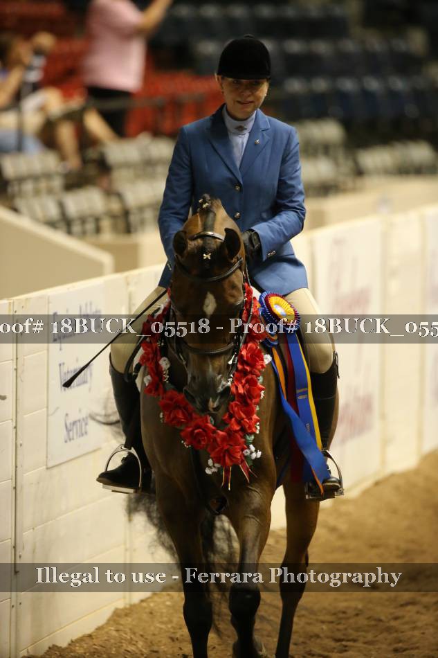 Proof 18BUCK_05518