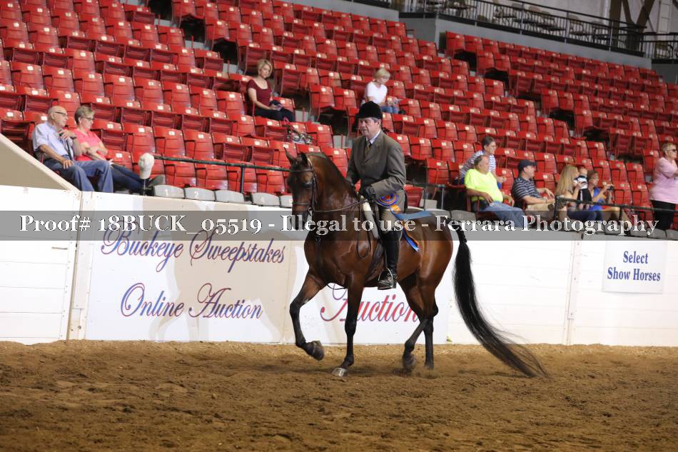 Proof 18BUCK_05519