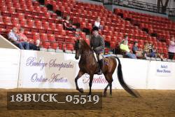18BUCK_05519 proof