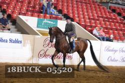 18BUCK_05520 proof