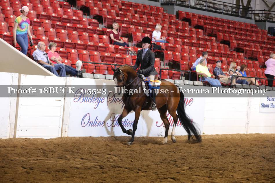 Proof 18BUCK_05523