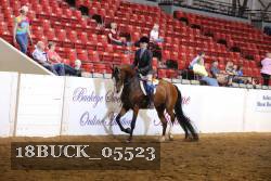 18BUCK_05523 proof