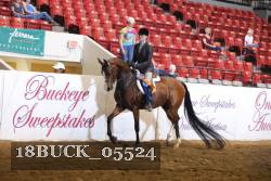 18BUCK_05524 proof