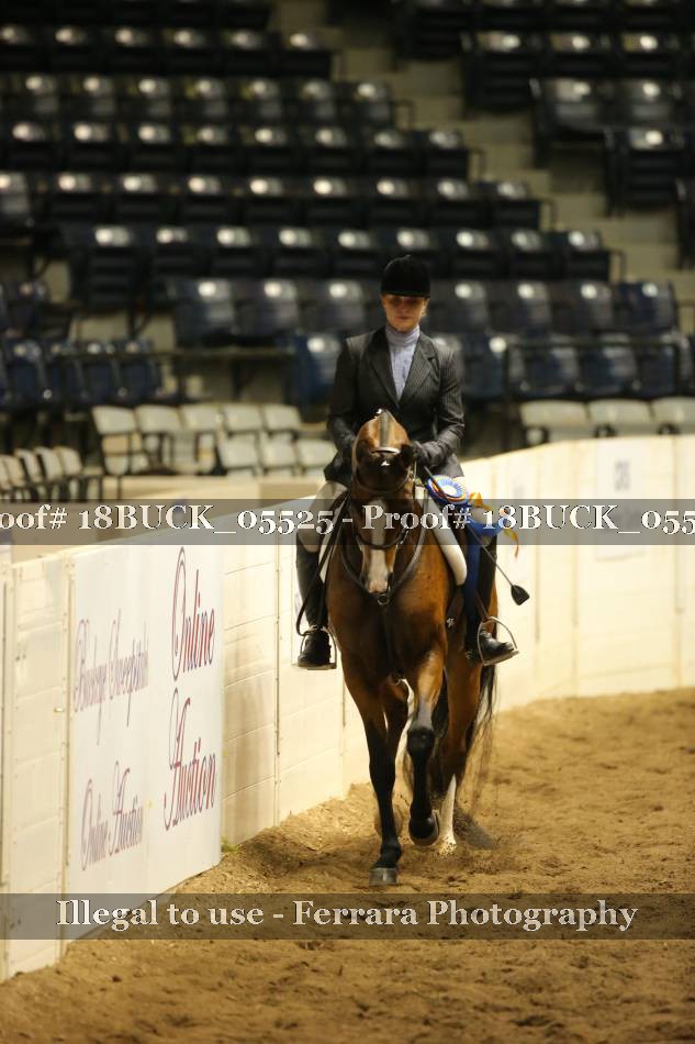 Proof 18BUCK_05525