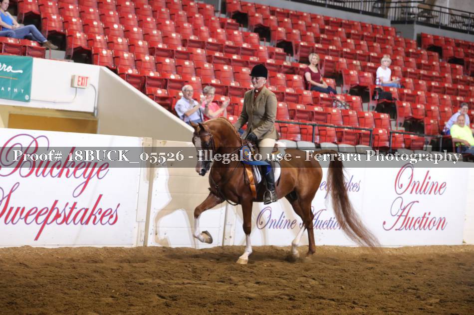 Proof 18BUCK_05526