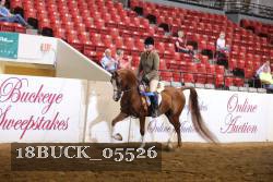 18BUCK_05526 proof